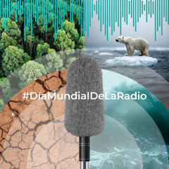#DiaMundialDeLaRadio BAJO FONDO RADIO CLUB #Unesco #WRD