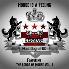 House is a Feeling! Featuring The Lords of House Vol. 1
