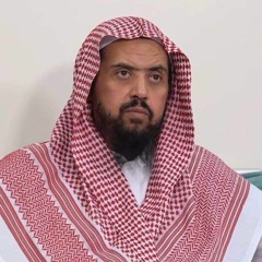 سورة الفرقان بصوت الشيخ وليد بن راشد السعيدان