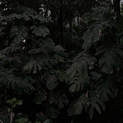 Existence Of Soundscapes 4,5h Hibernation Special