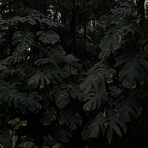 Existence Of Soundscapes 4,5h Hibernation Special