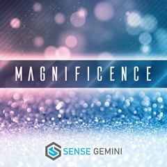 FLEX | Sence Gemini Magnificence Walkthrough
