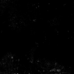 Contributions From the Sludge
