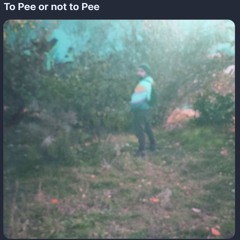 To Pee or not to Pee