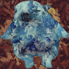 laying in the leaf pile (Prod.kittyflower x axry x tritely)