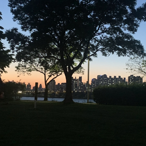 산책 - 백예린