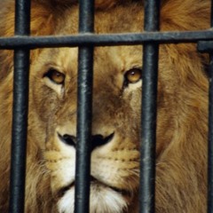 AT THE GATES OF BOREDOM  (Alfonso Llorente)