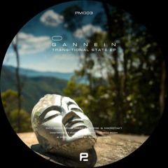 Premiere: Gannein - This Is Us (Illnurse remix) [PM003]