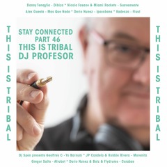 Stay Connected 046 / This Is Tribal (Mixed by Dj Profesor)