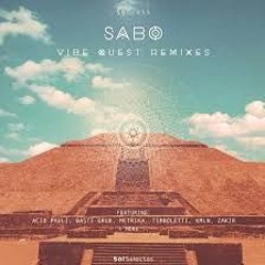 Acid Pauli & Sabo - Singing Game (Record Club Edit)