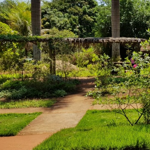 11.07.2021  - Cap. V - Bem Aventurados os Aflitos - O mal e o remédio