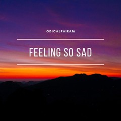 feeling so sad