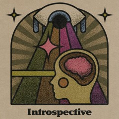 Introspective