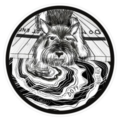Premiere: A3 - DOTT - One Foot Forward (Sweely Remix) [MR008]