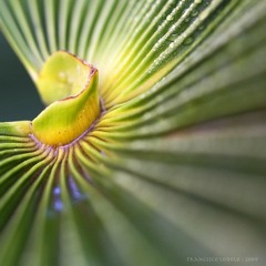 Denver Ecstatic Dance - Sunday September 1, 2024