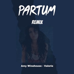 Amy Winehouse - Valerie (PARTUM Remix) *FILTERED*