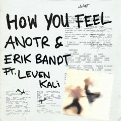 PREMIERE: ANOTR & Erik Bandt feat. Leven Kali - How You Feel