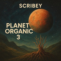 Planet Organic 3