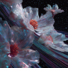 Chrome Petals