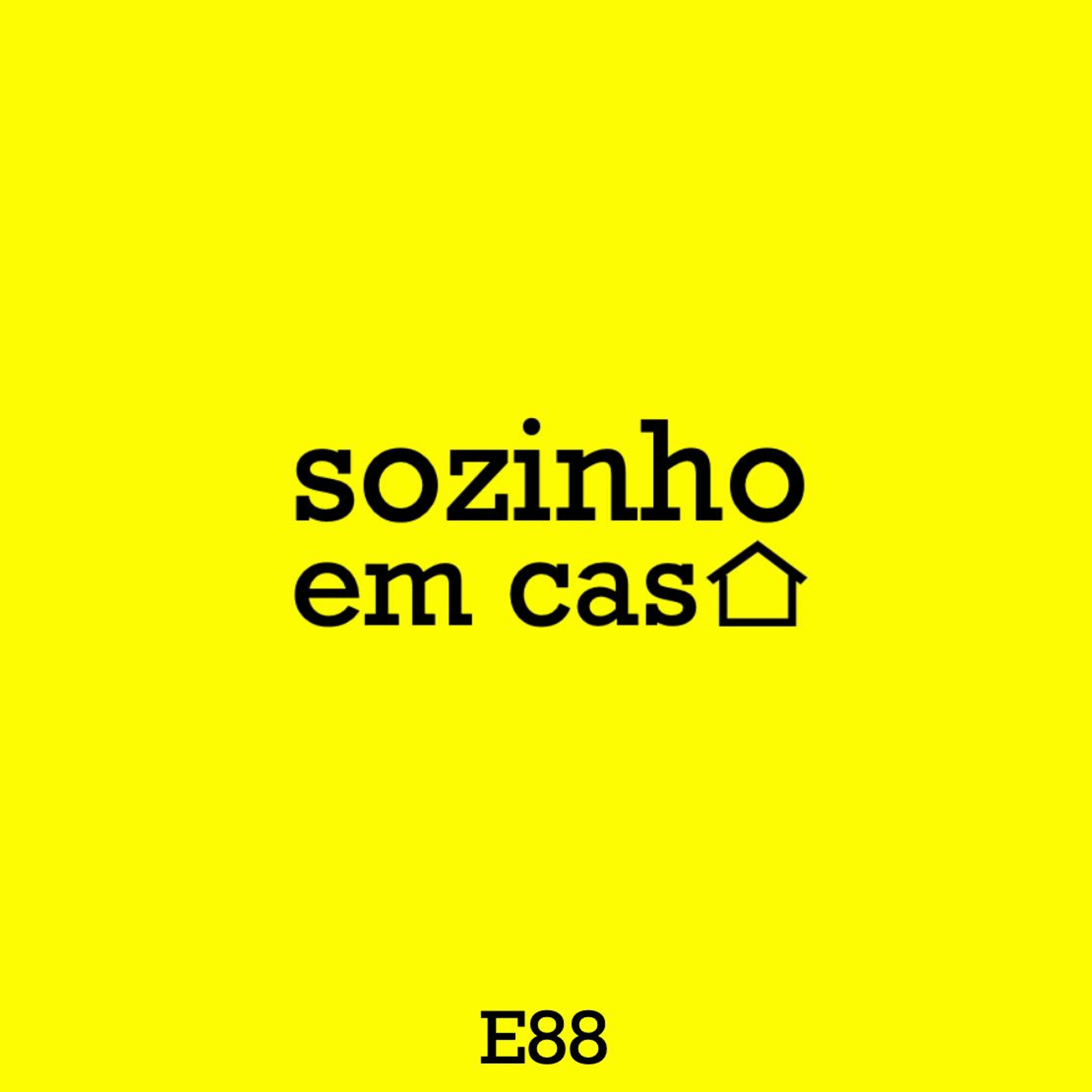 sozinho em casa