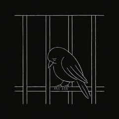 Prison (Yoñlu Cover)