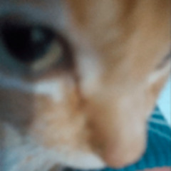 Fuck Love Hoodtrap Final Version