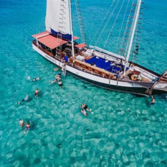 Review Special Price Aruba Afternoon Snorkeling Tour