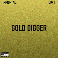 GOLD DIGGER - IMMORTAL X BIG T