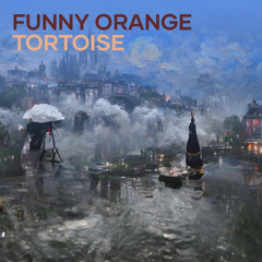 Funny Orange Tortoise