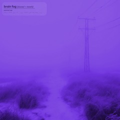 remind me - Brain Fog (Slowed + Reverb)