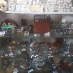 MAGELVRD - (116)))mirrorsdivine