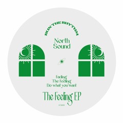 Northsound - The Feeling