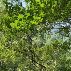 "drpnk" demo 2022 0707