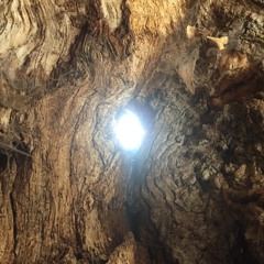 Improvisation feat. Andy Benz