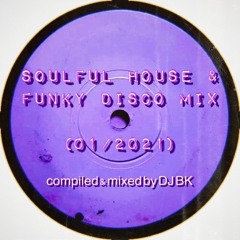 Soulful House & Funky Disco Mix 1/2021