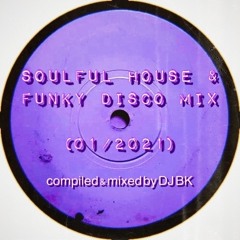 Soulful House & Funky Disco Mix 1/2021