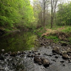 The Beauty of Losing my Light - Rav Shlomo Katz