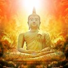 Buddhist - Relics - Nhạc thiền - tĩnh tâm - nhạc không lời