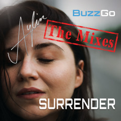Surrender (SONiC RANGE Remix)