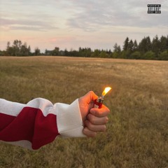 IF THE WORLD BURN DOWN