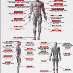 WEAK SPOTS (PROD.GLOCKIEE)