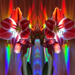 I already know what to do