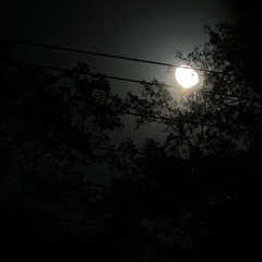 emotional tranferance