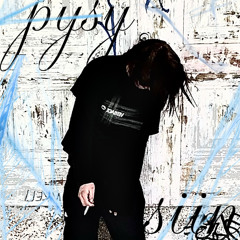 PYSY SIIN