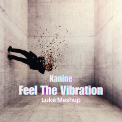 Kaning - Feel The Vibration (Luke Mashup) Final