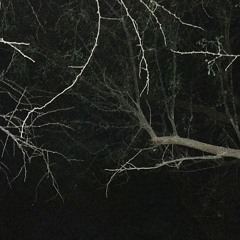 Nocturnal Hallucinations w/ Mary Mortem