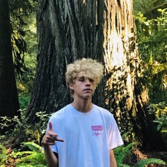 blooddreams ft. 066roses