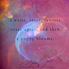 I write, erase, rewrite [naviarhaiku557]