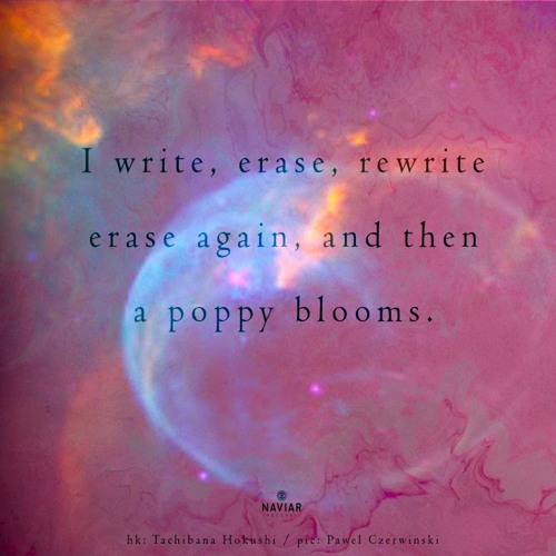 I write, erase, rewrite [naviarhaiku557]