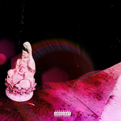 NUMB II
